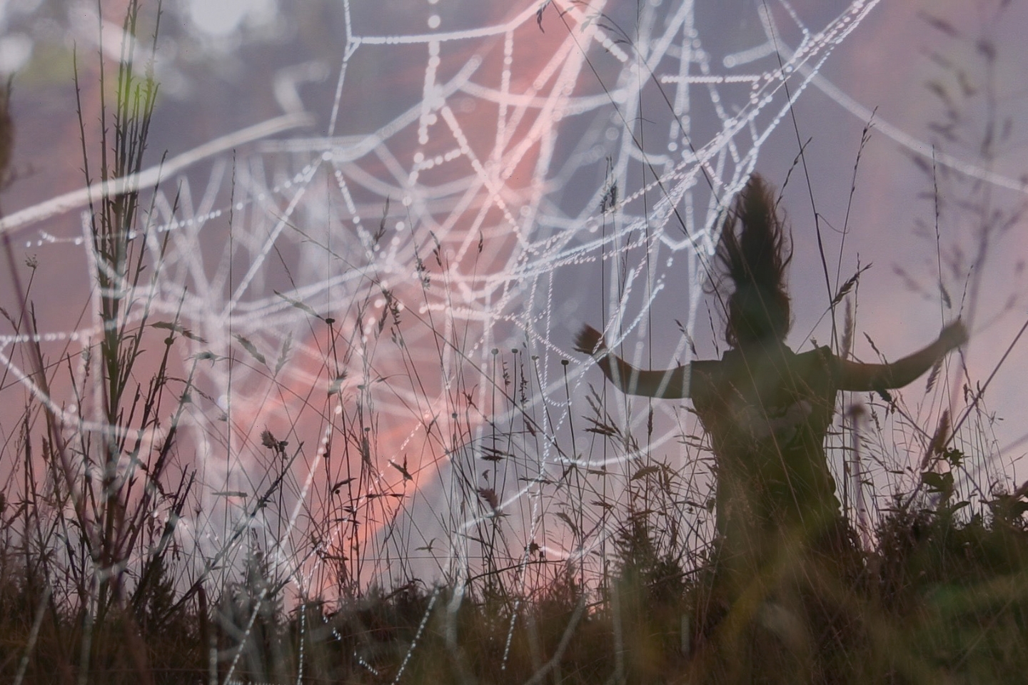 Künstlerisches Doppelbelichtungsfoto: Eine Silhouette einer Person mit erhobenen Armen steht in einer Wiese bei Sonnenuntergang. Darüber liegt ein transparentes Bild eines mit Tautropfen bedeckten Spinnennetzes, das sich über die gesamte Szene spannt. Die Farben sind weich, mit rosa und violetten Tönen.