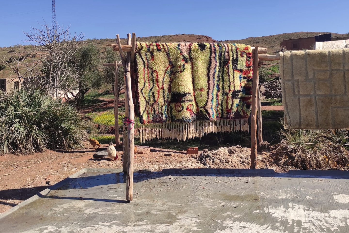 Zwei handgeknüpfte Teppiche hängen zum Trocknen über einem einfachen Holzgestell im Freien, mit marokkanischer Landschaft im Hintergrund. Der linke Teppich ist farbenfroh mit abstrakten Mustern in Gelb, Rot, Grün und Schwarz, während der rechte Teppich in dezenten Beige- und Cremetönen gehalten ist. Im Vordergrund laufen Hühner frei umher, und die Umgebung ist ländlich, mit Bäumen, Büschen und Hügeln unter blauem Himmel.